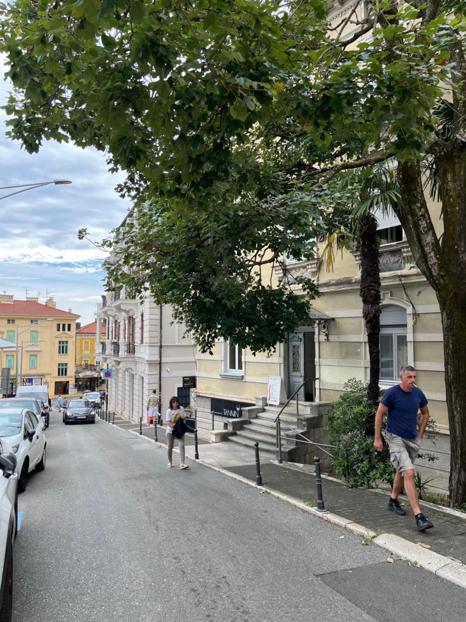 Viola, * Opatija